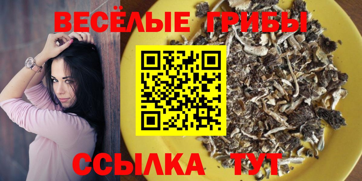 Галлюциногенные грибы прущие грибы  Вход с VPN  Южно-Сахалинск 