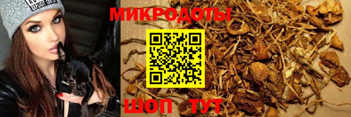 Псилоцибиновые грибы GOLDEN TEACHER Южно-Сахалинск